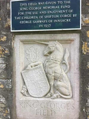 Playing Field Plaque
