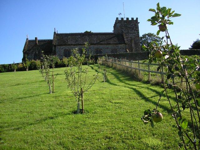 The Orchard when newly planted
