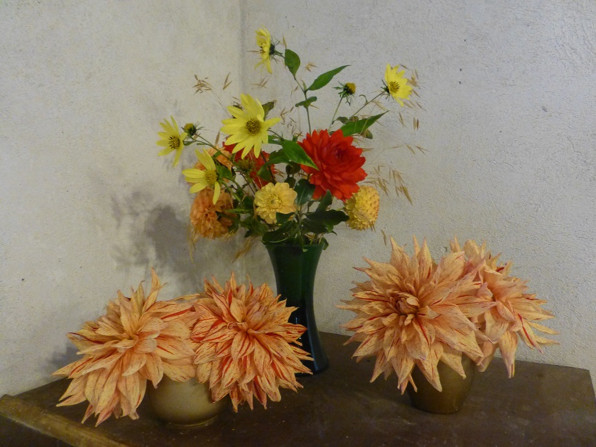 Large pale orange flowers and a vase of yellow flowers