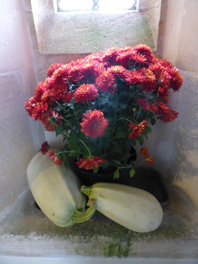 Red flowers and squash
