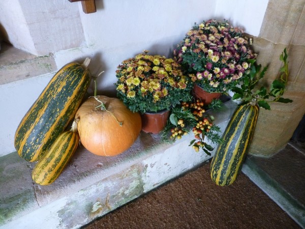 Courgette and pumpkins