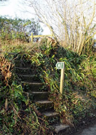 Footpath